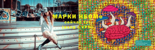 стафф Тында