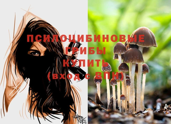 стафф Тында