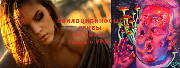 стафф Тында