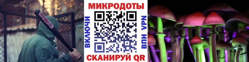 Псилоцибиновые грибы Psilocybe  Староминская 